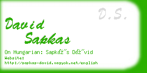 david sapkas business card